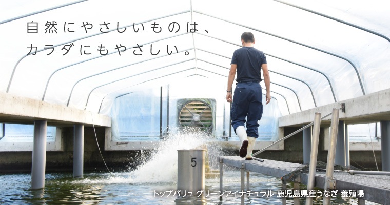 自然にやさしいものは、カラダにもやさしい。 トップバリュ グリーンアイナチュラル 鹿児島県産うなぎ 養殖場