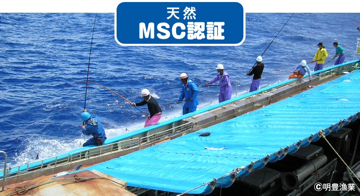 天然 MSC認証 ©明豊漁場