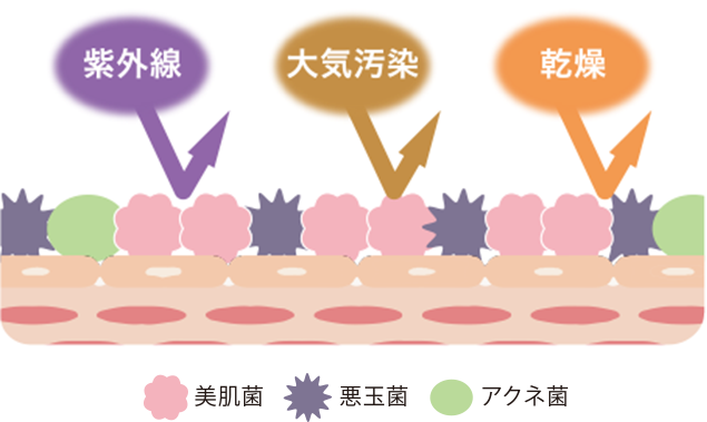 国内配送 イオングラマティカル アミノフローラ原液 化粧水 ローション Hypovak Nl