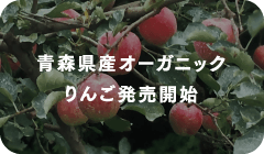 青森県産オーガニックりんご発売開始