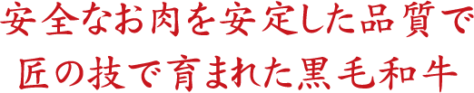 安全なお肉を安定した品質で匠の技で育まれた黒毛和牛