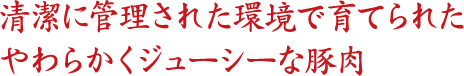 清潔に管理された環境で育てられたやわらかくジューシーな豚肉