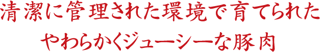 清潔に管理された環境で育てられたやわらかくジューシーな豚肉