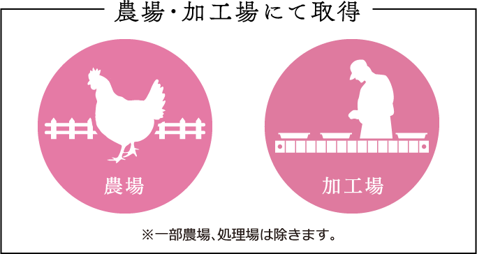 農場・加工場にて取得