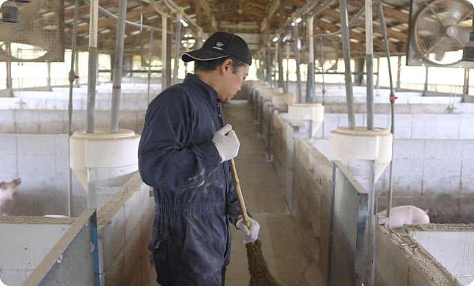 安全でおいしい豚肉をお届けするためには“家畜を大切に育てる”という動物福祉の考えが必要不可欠となる。雪国牧場では、こだわりの飼料を与え、豚や豚舎、飼育員の衛生管理を徹底するなど、ストレス、怪我等を極力減らし、豚が健康でいられる環境を作っている。