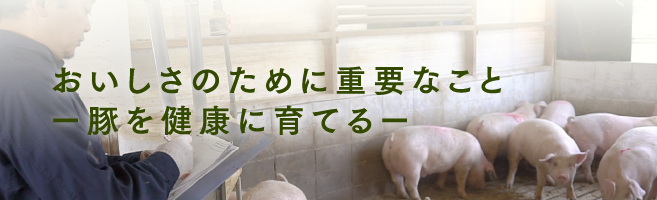 おいしさのために重要なことー豚を健康に育てるー