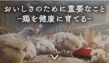 おいしさのために重要なこと鶏を健康に育てる