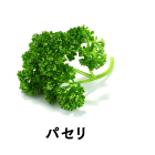 パセリ