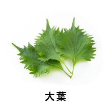 大葉