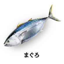 まぐろ