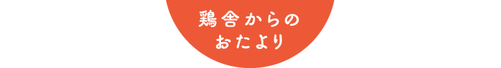 鶏舎からの
おたより