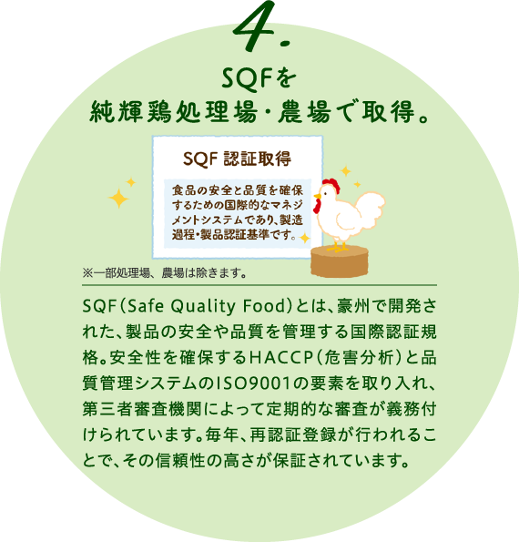 4.SQFを純輝鶏処理場・農場で取得。※一部処理場、農場は除きます。
                            SQF(Safe Quality Food)とは、豪州で開発された、製品の安全や品質を管理する国際認証規格。安全性を確保するHACCP(危害分析)と品質管理システムのISO9001の要素を取り入れ、第三者審査機関によって定期的な審査が義務付けられています。毎年、再認証登録が行われることで、その信頼性の高さが保証されています。