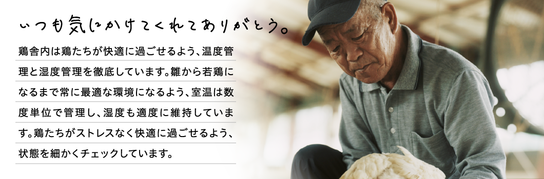 いつも気にかけてくれてありがとう。
鶏舎内は鶏たちが快適に過ごせるよう、温度管理と湿度管理を徹底しています。雛から若鶏になるまで常に最適な環境になるよう、室温は数度単位で管理し、湿度も適度に維持しています。鶏たちがストレスなく快適に過ごせるよう、状態を細かくチェックしています。