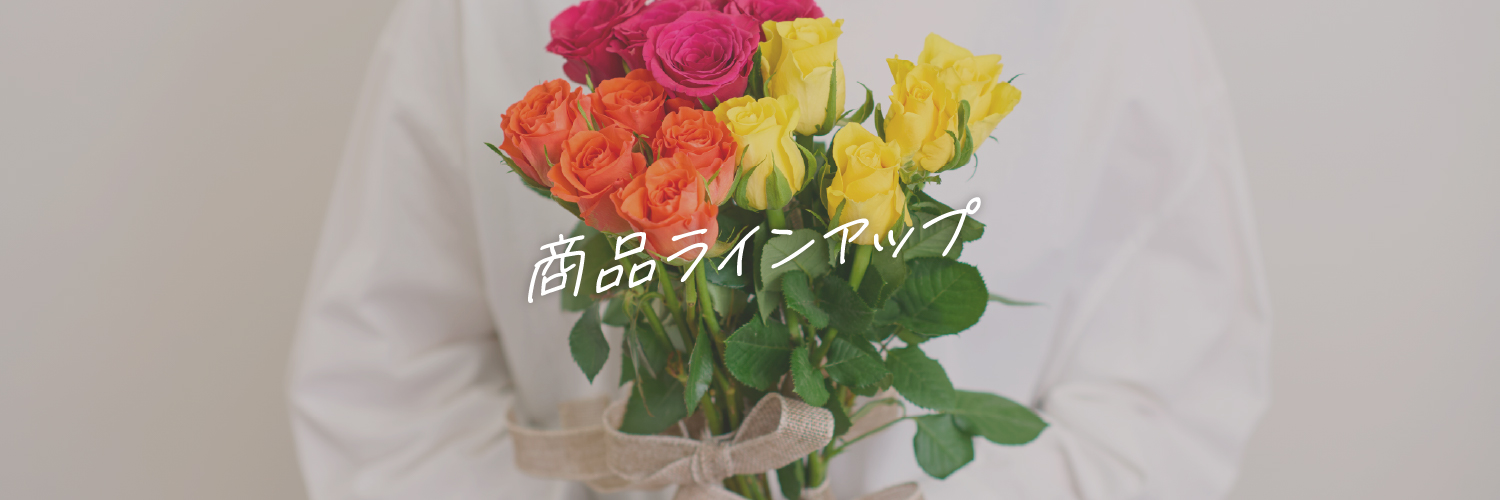商品ラインアップ