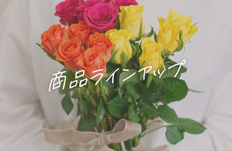 商品ラインアップ