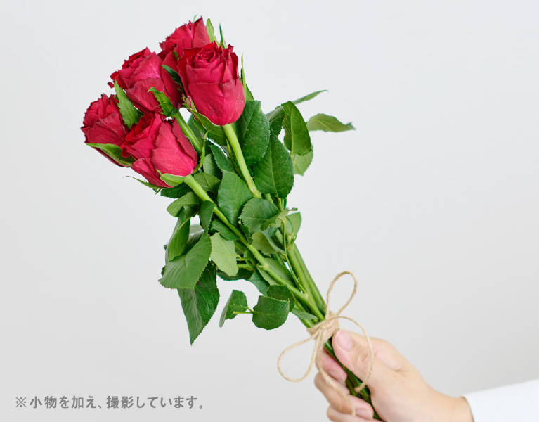 ※小物を加え、撮影しています。