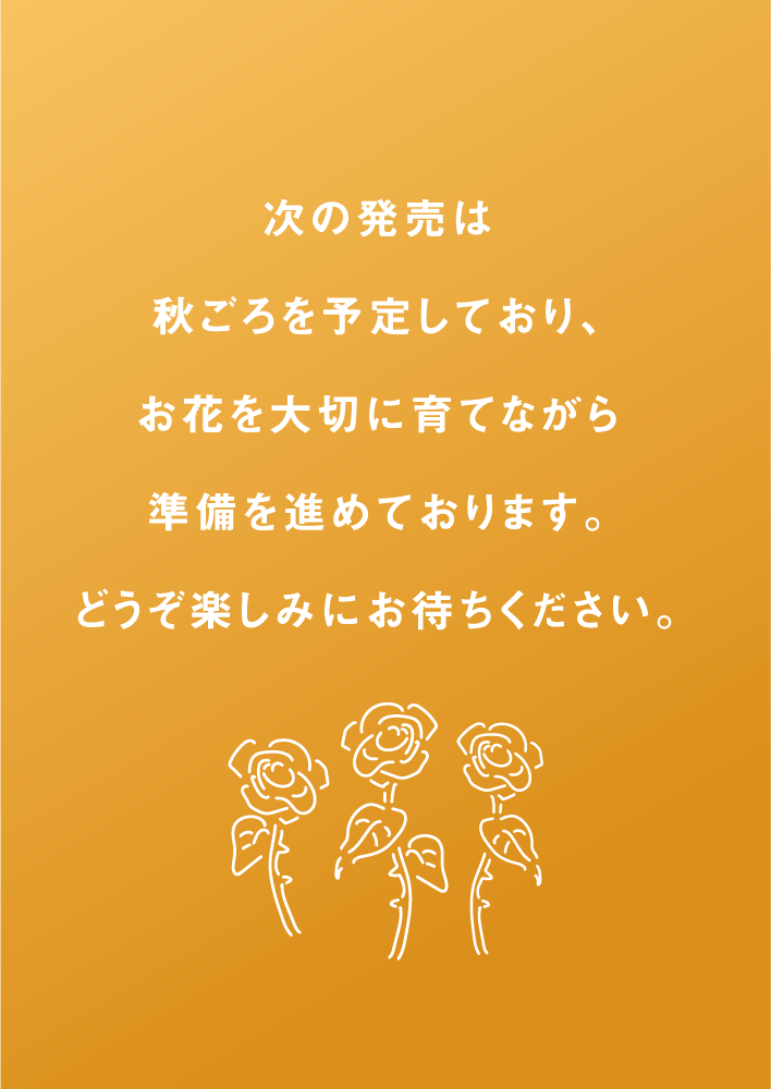 次の発売は秋ごろを予定しており、お花を大切に育てながら準備を進めております。どうぞ楽しみにお待ちください。