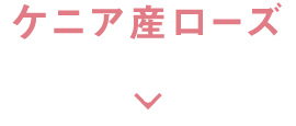 ケニア産ローズ