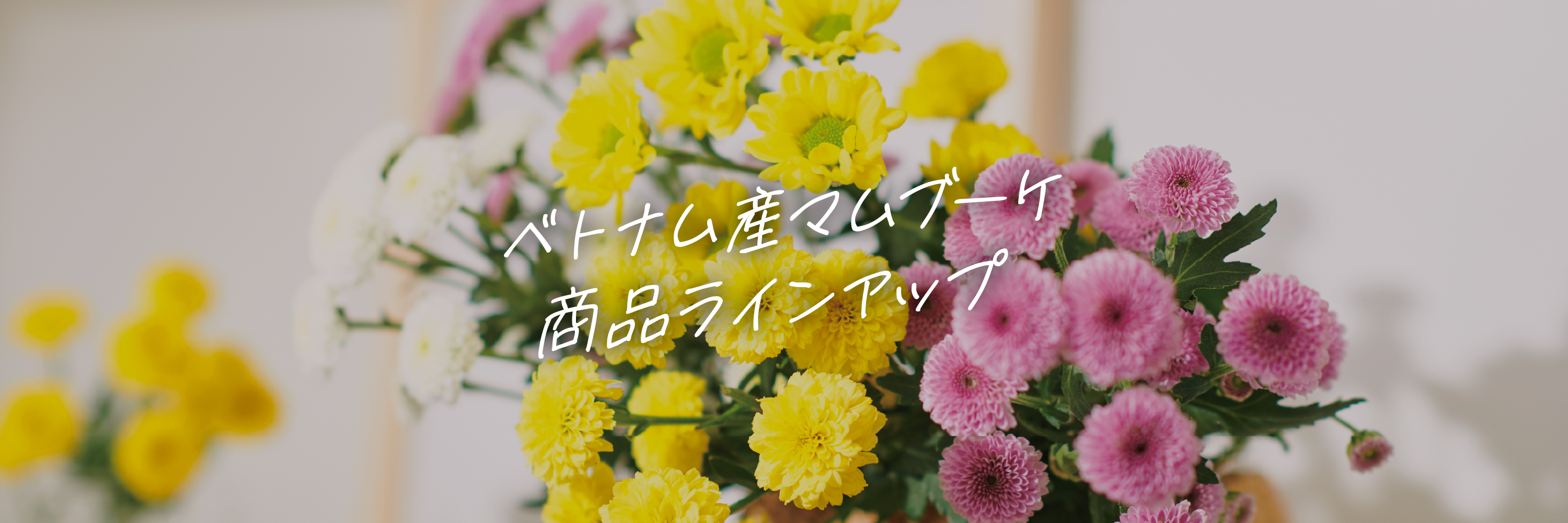 ベトナム産マムブーケ商品ラインアップ