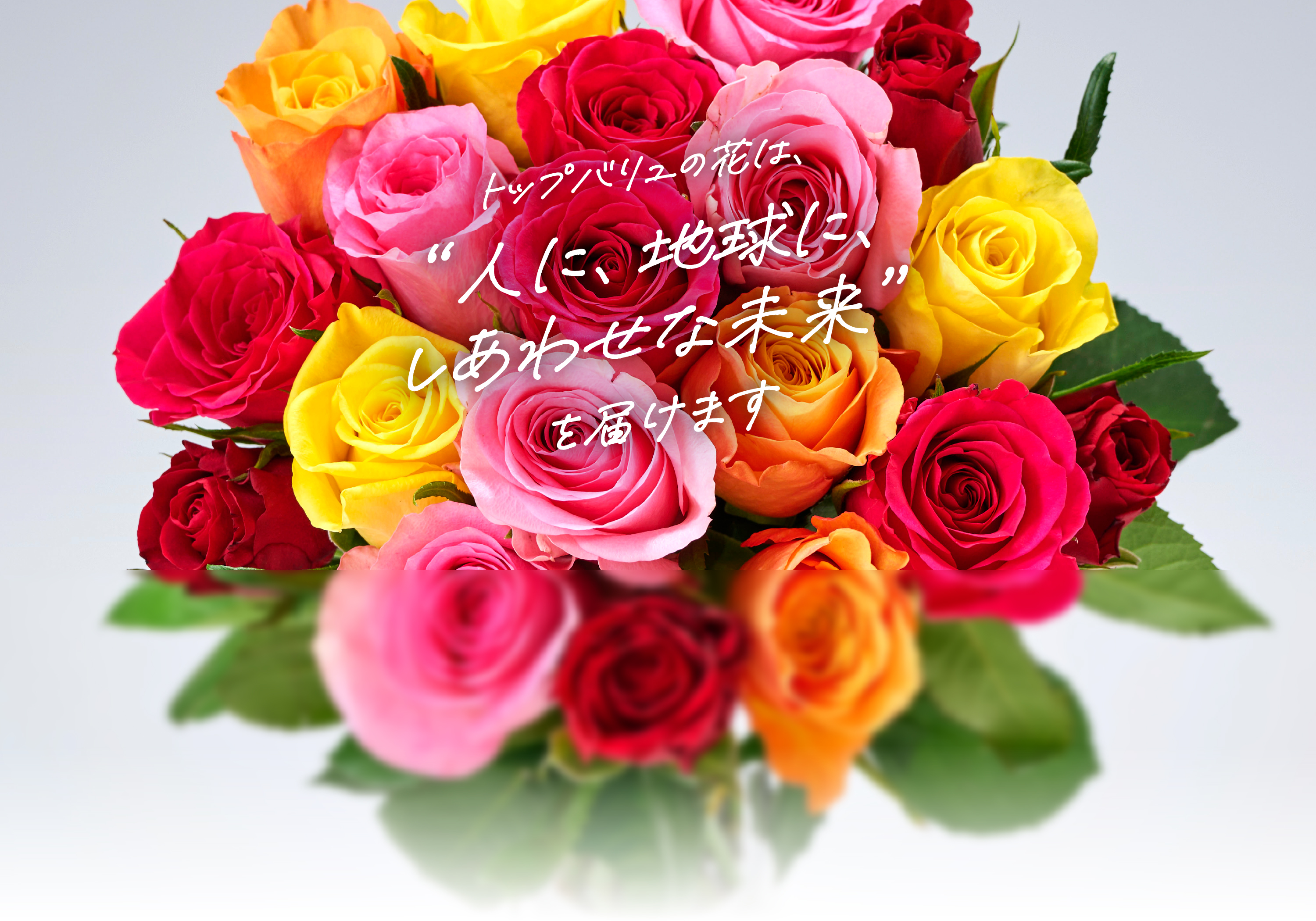 トップバリュの花は、“人に、地球に、しあわせな未来”を届けます
