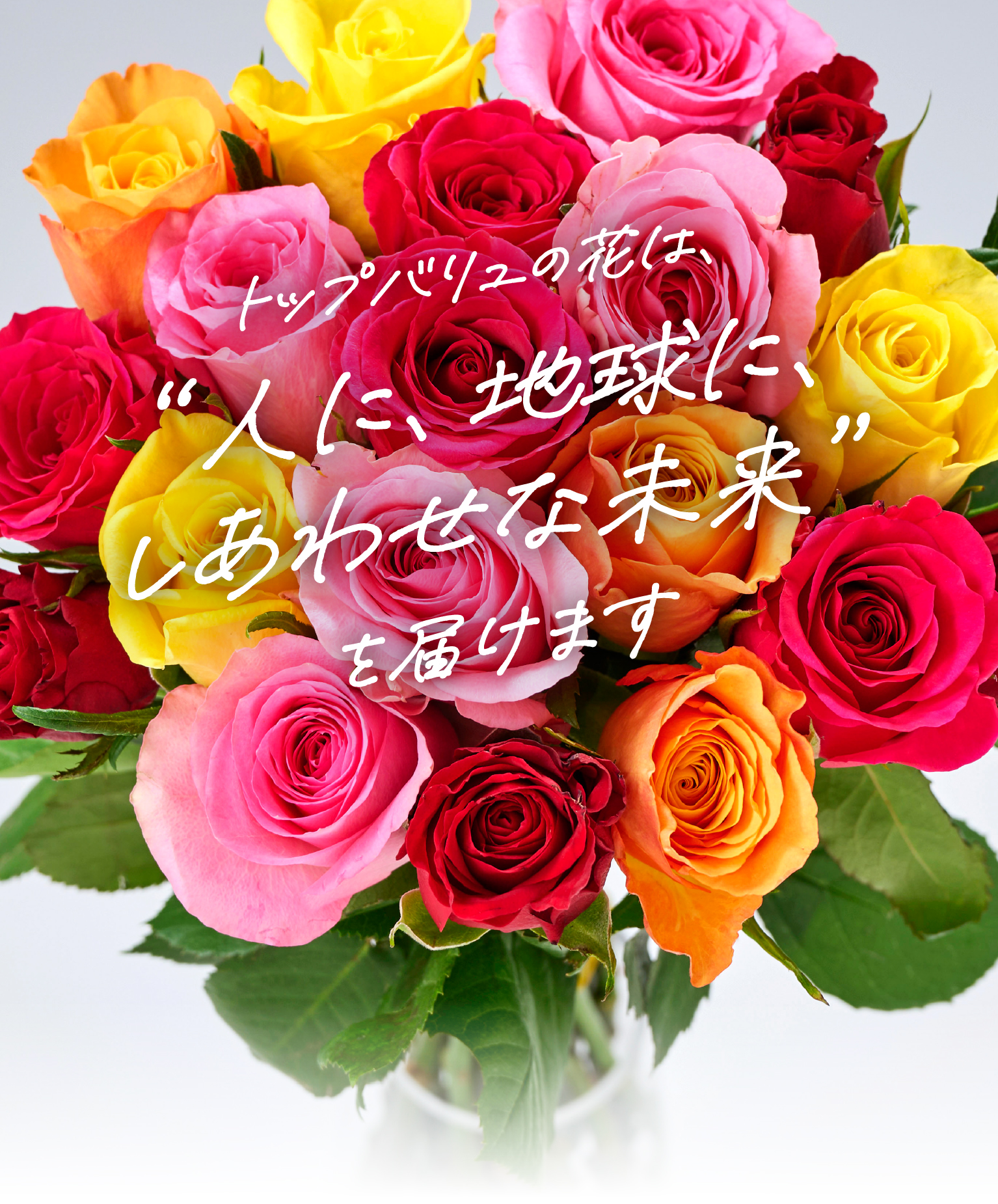 トップバリュの花は、“人に、地球に、しあわせな未来”を届けます