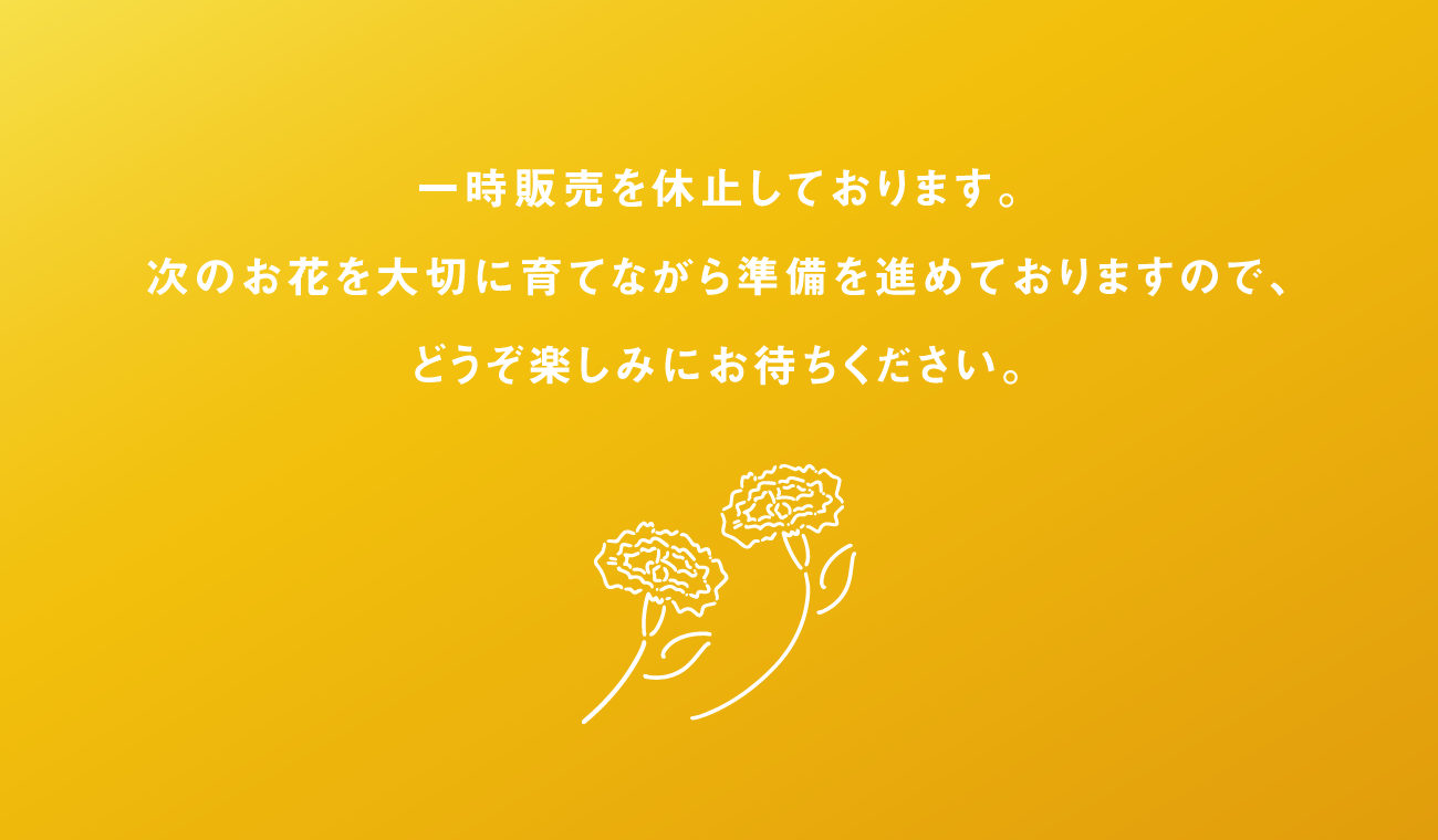 一時販売を休止しております。次のお花を大切に育てながら準備を進めておりますので、どうぞ楽しみにお待ちください。