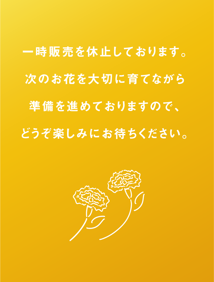 一時販売を休止しております。次のお花を大切に育てながら準備を進めておりますので、どうぞ楽しみにお待ちください。