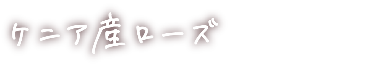 ケニア産ローズ