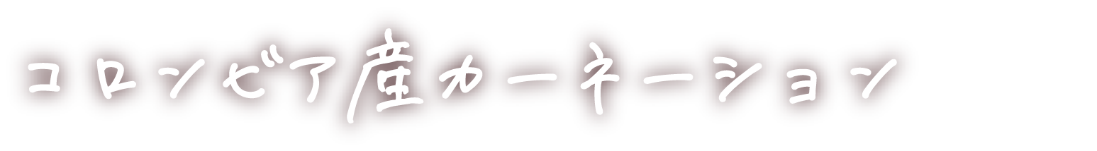 コロンビア産カーネーション