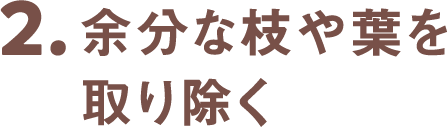 2.余分な枝や葉を取り除く