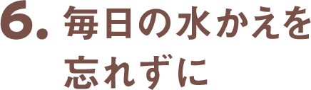 6.毎日の水かえを忘れずに