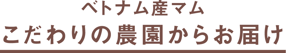 ベトナム産マムこだわりの農園からお届け