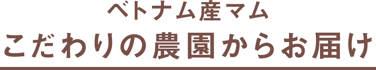 ベトナム産マムこだわりの農園からお届け