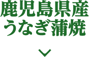鹿児島県産うなぎ蒲焼