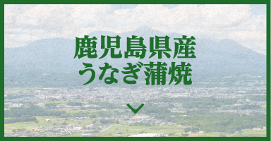 鹿児島県産うなぎ蒲焼