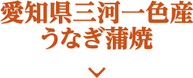 愛知県三河一色産うなぎ蒲焼