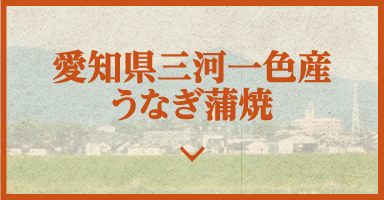 愛知県三河一色産うなぎ蒲焼