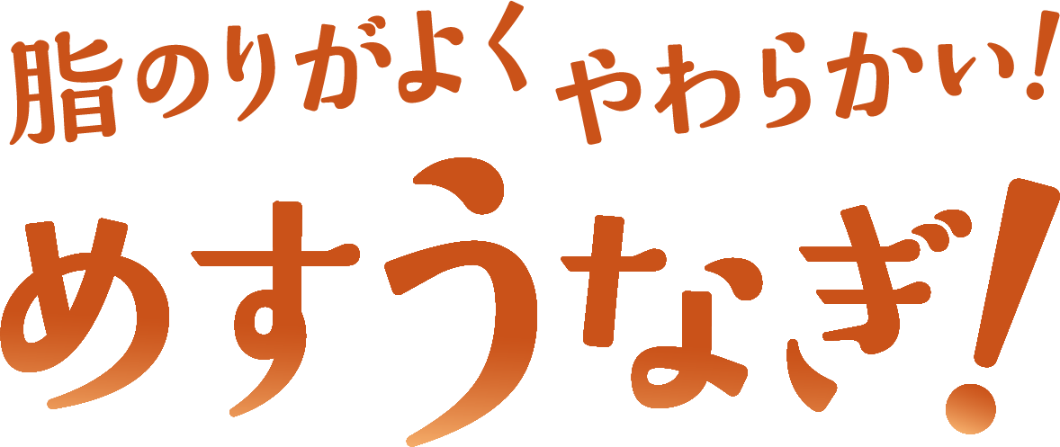 脂のりがよくやわらかい！めすうなぎ！