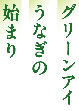 グリーンアイうなぎの始まり