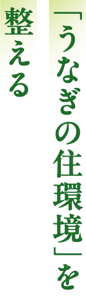 「うなぎの住環境」を整える