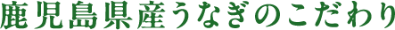 鹿児島県産うなぎのこだわり