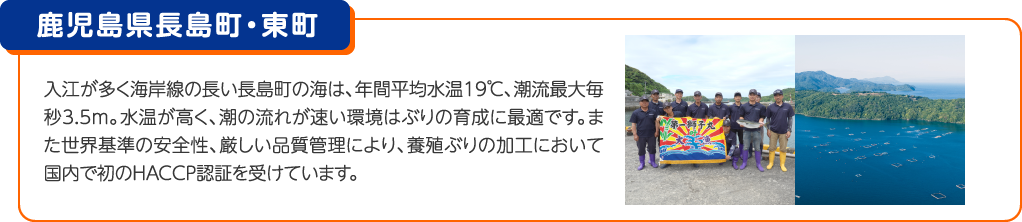 鹿児島県長島町・東町 入江が多く海岸線の長い長島町の海は、年間平均水温19℃、潮流最大毎秒3.5m。水温が高く、潮の流れが速い環境はぶりの育成に最適です。また世界基準の安全性、厳しい品質管理により、養殖ぶりの加工において国内で初のHACCP認証を受けています。