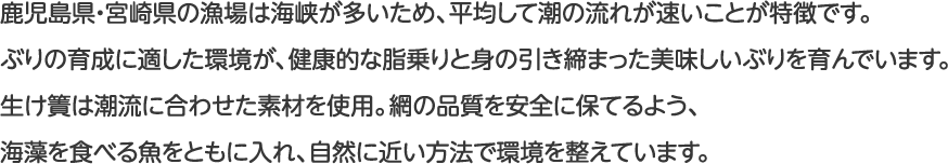鹿児島県・宮崎県の漁場は海峡が多いため、平均して潮の流れが速いことが特徴です。ぶりの育成に適した環境が、健康的な脂乗りと身の引き締まった美味しいぶりを育んでいます。生け簀は潮流に合わせた素材を使用。網の品質を安全に保てるよう、海藻を食べる魚をともに入れ、自然に近い方法で環境を整えています。