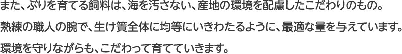 また、ぶりを育てる飼料は、海を汚さない、産地の環境を配慮したこだわりのもの。熟練の職人の腕で、生け簀全体に均等にいきわたるように、最適な量を与えています。環境を守りながらも、こだわって育てていきます。