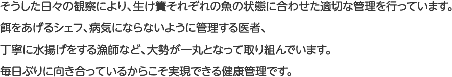 そうした日々の観察により、生け簀それぞれの魚の状態に合わせた適切な管理を行っています。餌をあげるシェフ、病気にならないように管理する医者、丁寧に水揚げをする漁師など、大勢が一丸となって取り組んでいます。毎日ぶりに向き合っているからこそ実現できる健康管理です。