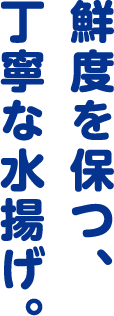 鮮度を保つ、丁寧な水揚げ。