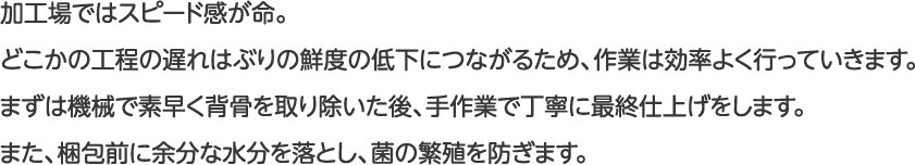 加工場ではスピード感が命。どこかの工程の遅れはぶりの鮮度の低下につながるため、作業は効率よく行っていきます。まずは機械で素早く背骨を取り除いた後、手作業で丁寧に最終仕上げをします。また、梱包前に余分な水分を落とし、菌の繁殖を防ぎます。