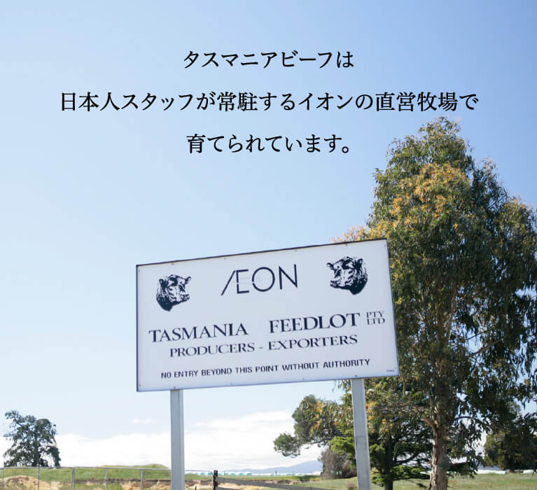 タスマニアビーフは日本人スタッフが常駐するイオンの直営牧場で育てられています。