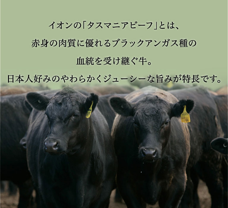 イオンの「タスマニアビーフ」とは、赤身の肉質に優れるブラックアンガス種の血統を受け継ぐ牛。日本人好みのやわらかくジューシーな旨みが特長です。