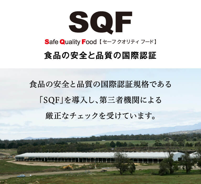 食品の安全と品質の国際認証規格である「SQF」を導入し、第三者機関による厳正なチェックを受けています。SQF Safe Quality Food【 セーフ クオリティ フード 】食品の安全と品質の国際認証